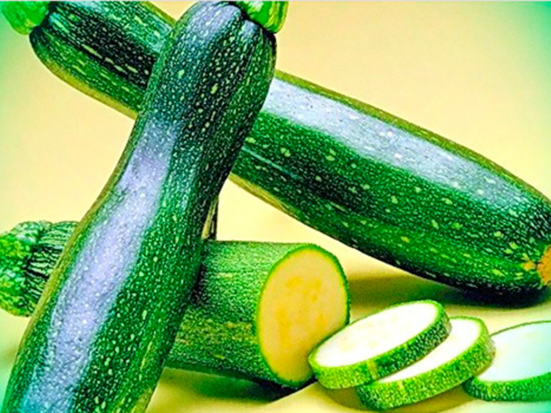 Zucchini varieties