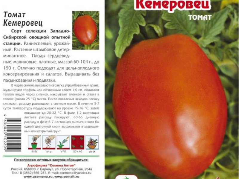 Tomato seeds Kemerovets in packing