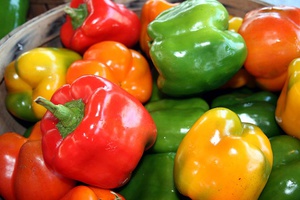 Bell peppers can be grown by seed in the ground or first with seedlings.