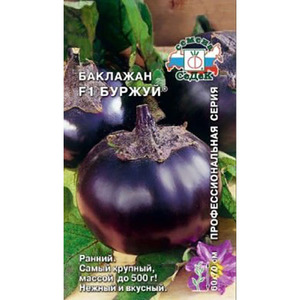 Bourgeois eggplant seed bag - high-yielding variety