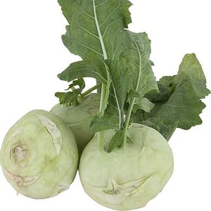 Kohlrabi cabbage