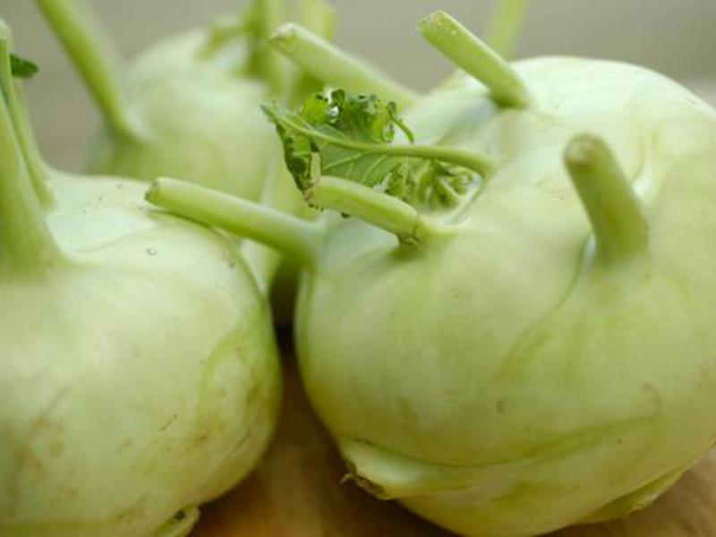 How kohlrabi grows