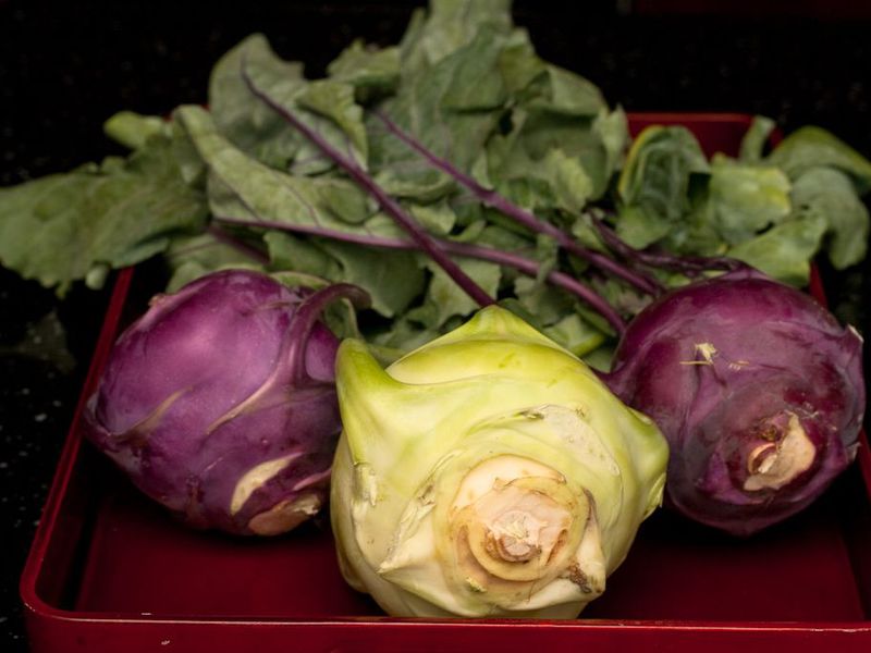 What is the use of kohlrabi