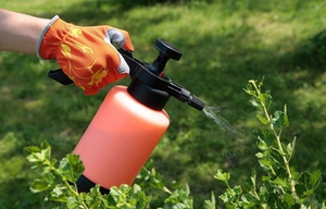 Safety rules when using Aktara insecticide