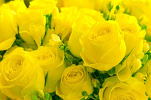 Yellow roses are also not the most common flower.