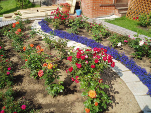 Rose garden design in the country