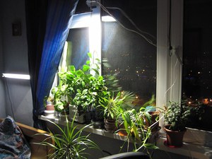 Method of mounting lighting for plants