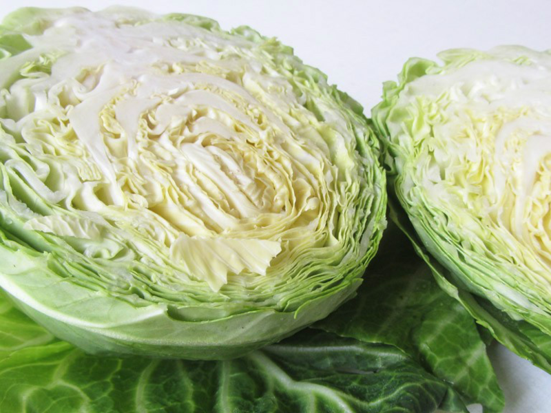 Characteristics of late varieties of white cabbage