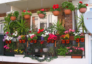 Wonderful flowers in the decoration of the balcony