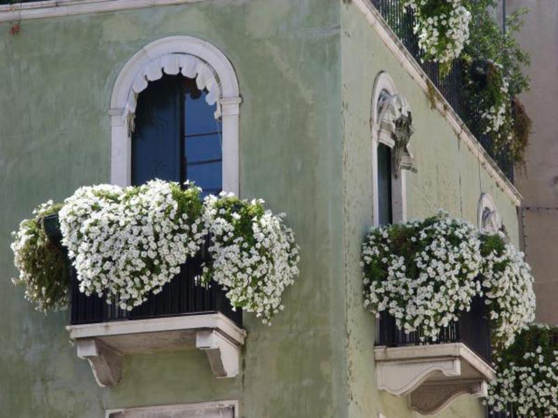 Flower arrangements on the balcony