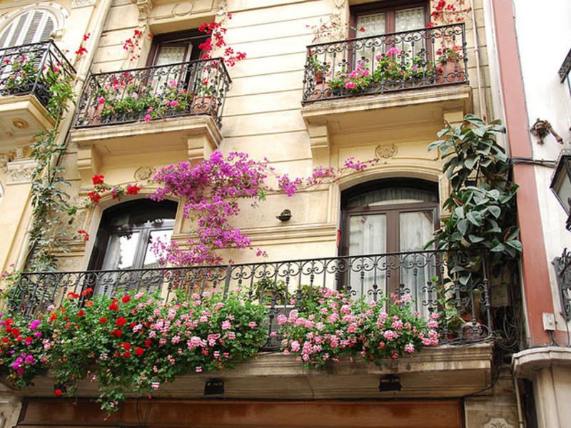 Flower arrangements for the balcony,