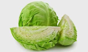 Description of the beneficial qualities of white cabbage