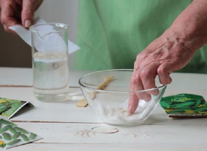 Description of the method of preparing cucumber seeds for sowing