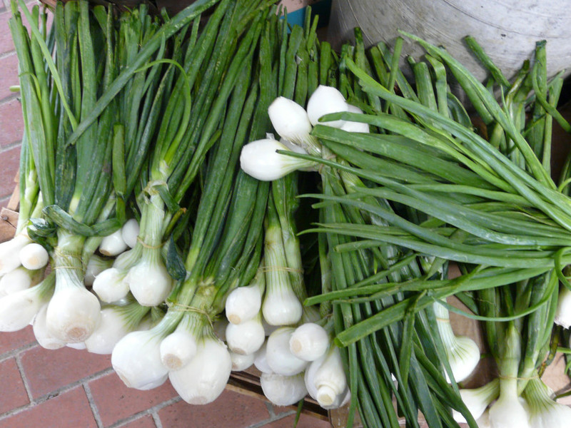 Shallots and planting methods