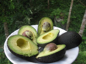 List of beneficial properties of avocado fruits