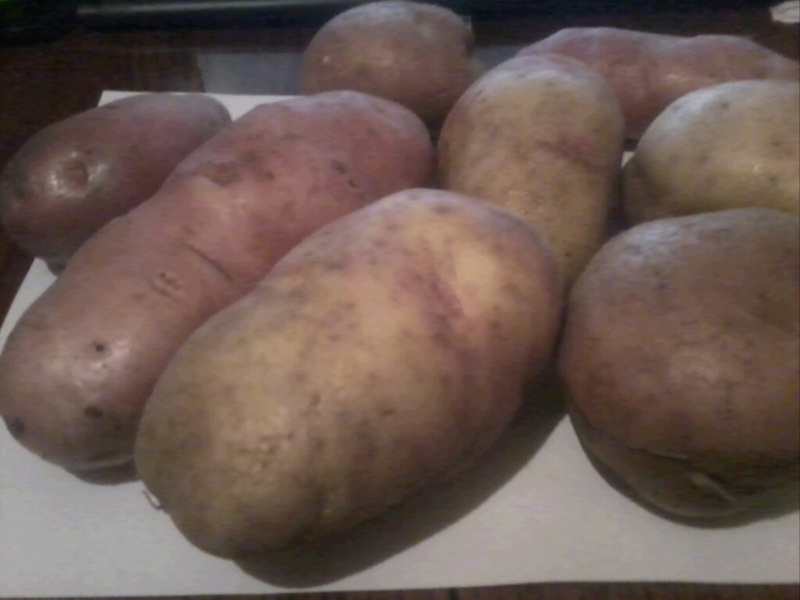 How to choose a potato variety