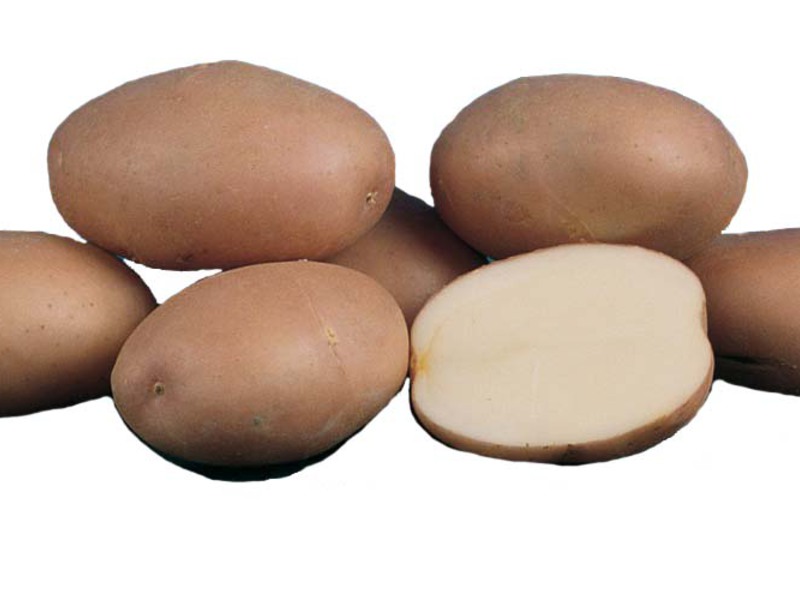 Romano potatoes