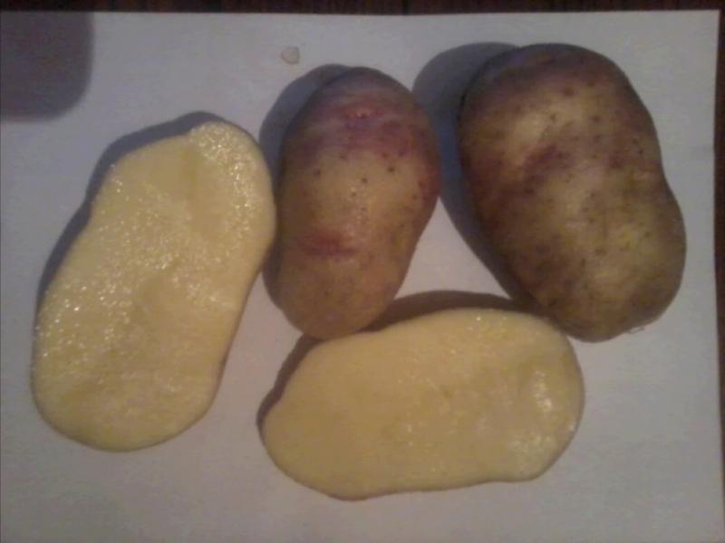 Seed potatoes