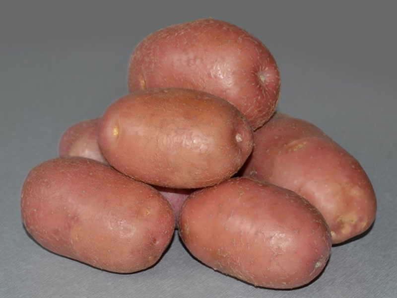 Romano potatoes