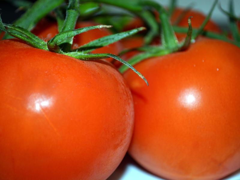 Tomatoes in the greenhouse.