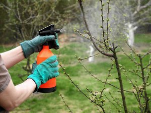 How to properly process trees