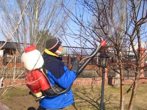 Processing trees in spring