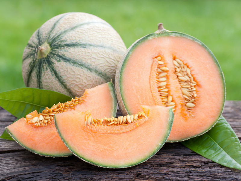 Description of the cantaloupe melon variety Tsaritsyn Day