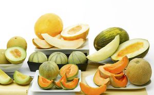 List of beneficial elements in cantaloupe melon and beneficial properties