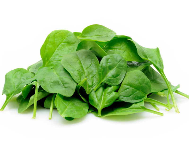 How spinach grows