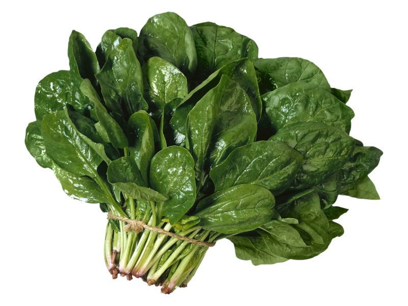 How to grow spinach