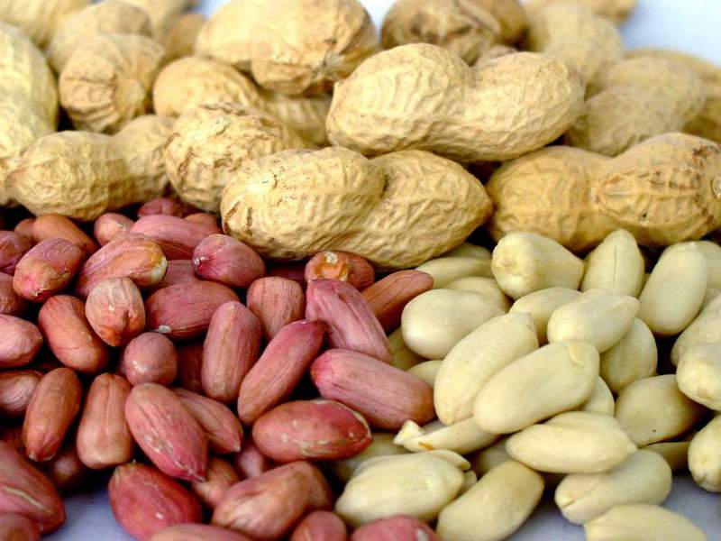 How to prepare the land for planting peanuts