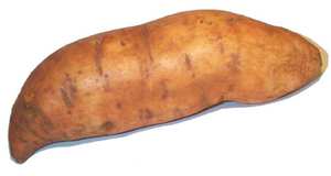 How to plant a sweet potato