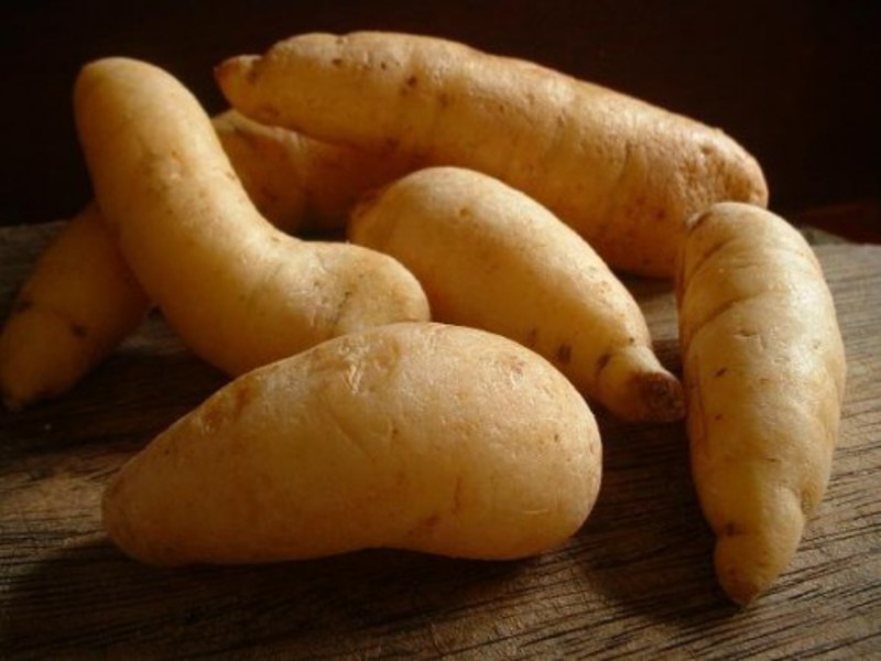 Sweet potato yam