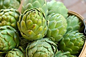 Artichoke: what is it, the benefits and harms, photo