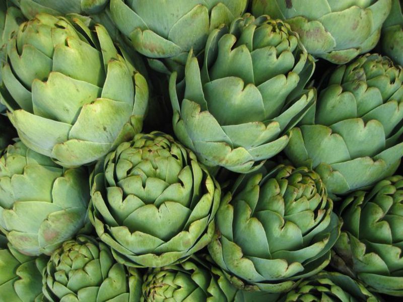 Calorie artichoke benefits and harms.