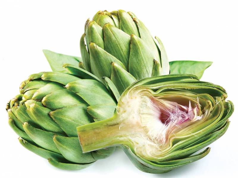 How artichoke grows