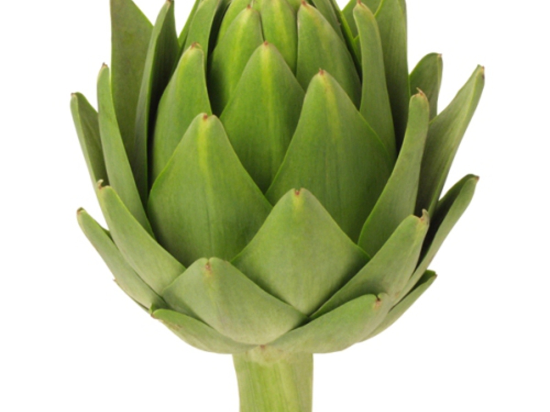 How the artichoke is eaten