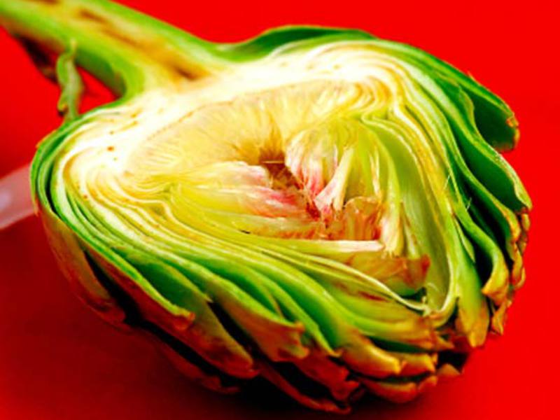 Artichoke plant