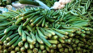 Rules for choosing okra fruits