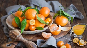 Description of the medicinal properties of the kumquat fruit