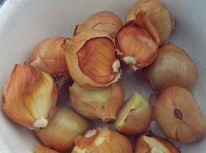 Secrets of growing onions