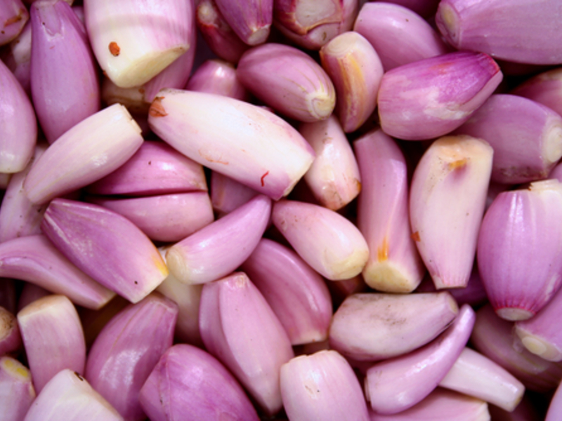 Different varieties of onions