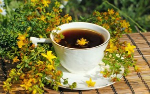 Features of the use of St. John's wort in traditional medicine