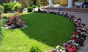 Landscape design