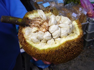 Breadfruit usually takes 70-75 years to produce fruit