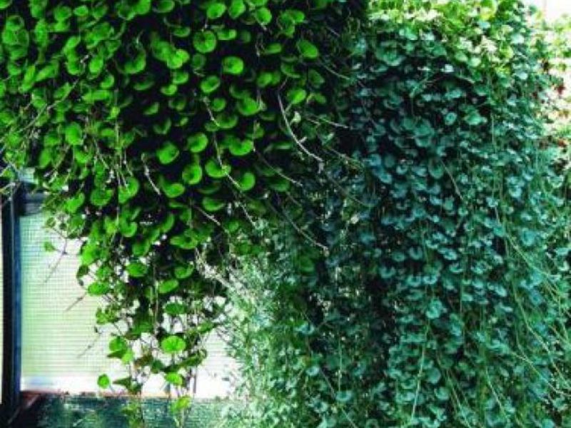 Balcony decoration pots