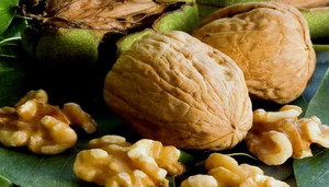 All about walnuts