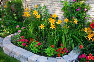 List and description of the types of flowers with which daylilies are combined