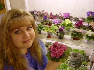 Recommendations of experienced florists for growing indoor violets