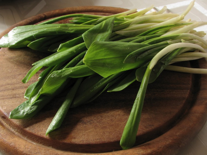 Where does wild garlic grow